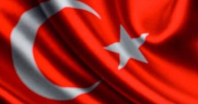 تركيا في النظام العالمي الجديد