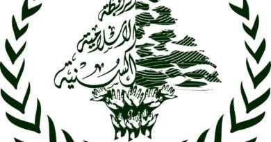 العفو العام مصلحة للجميع، وصون رئاسة الحكومة حماية للطائف والشراكة الوطنية